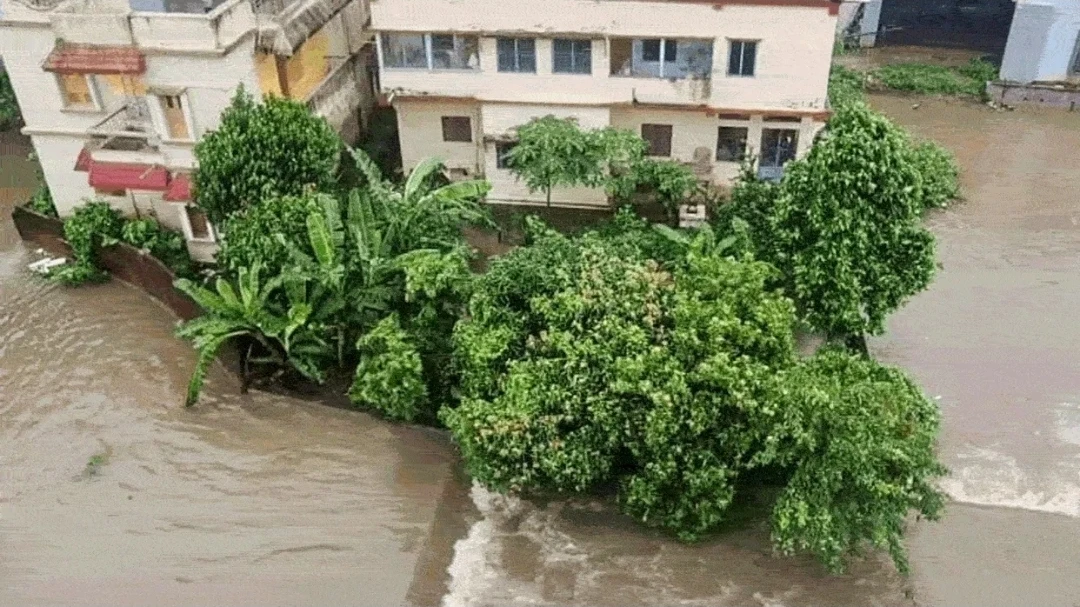 ओडिशा में बाढ़ का कहर, पांच दिन तक ताड़ के पेड़ से चिपका रहा शख्स; ओडीआरएएफ ने बचाई जान