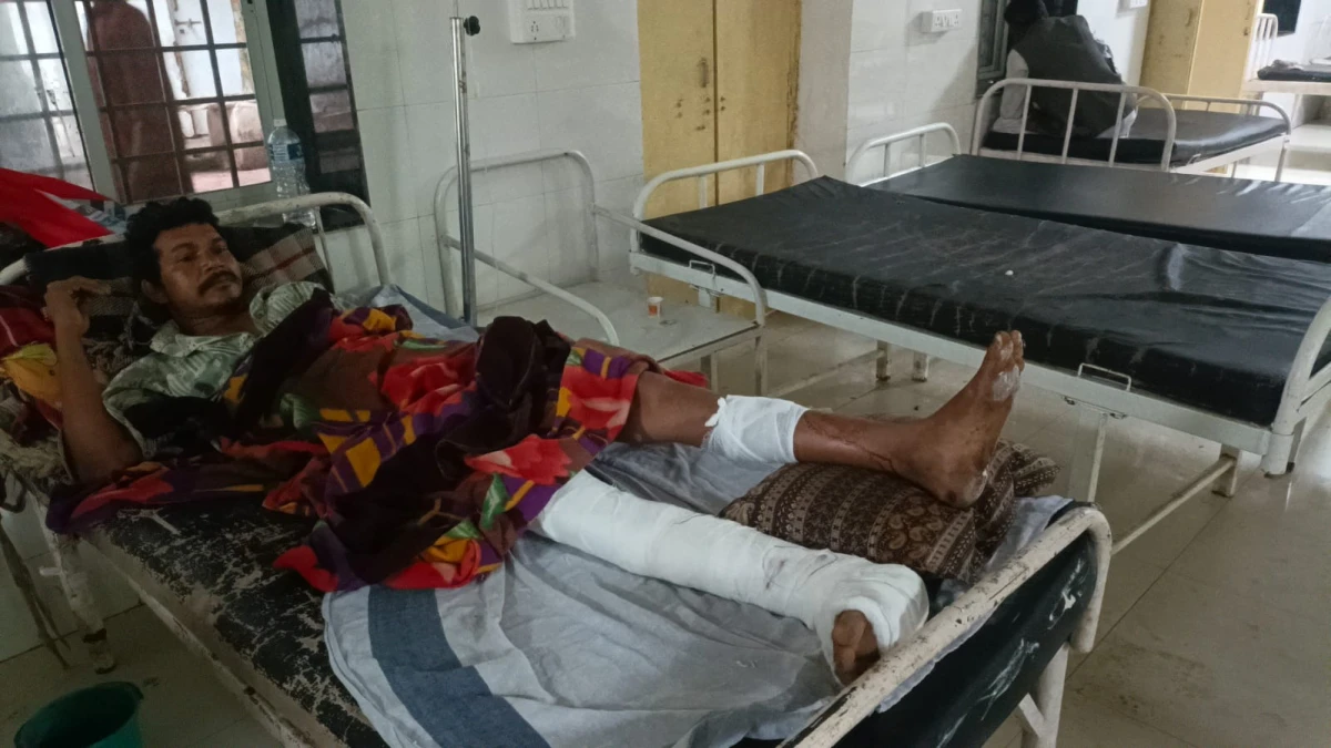 अतिक्रमणकारियों ने वन चौकीदार पर किया लाठी से हमला, पैर में फ्रैक्चर; जिला अस्पताल में भर्ती