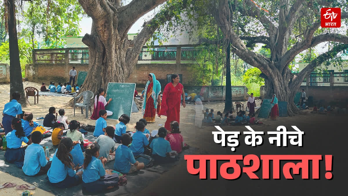 CLASSES UNDER A TREE