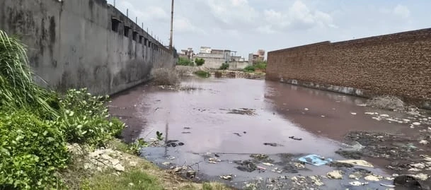 नहर में केमिकलयुक्त पानी छोड़ने का आरोप, किसानों ने कहा- फसलें हो रही बर्बाद; फैक्टरी ने आरोप नकारे
