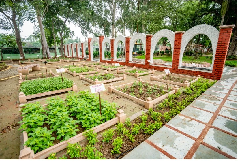 A NEW SYMBOL OF ENVIRONMENT, MODERN RECREATION AND BHOJPURI CULTURE IN THE HEART OF ARA