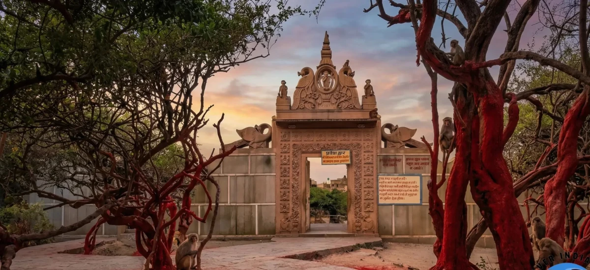 निधिवन का रहस्य: रात में क्यों बंद हो जाते हैं दरवाजे? सुबह रंग महल में क्या मिलता है?