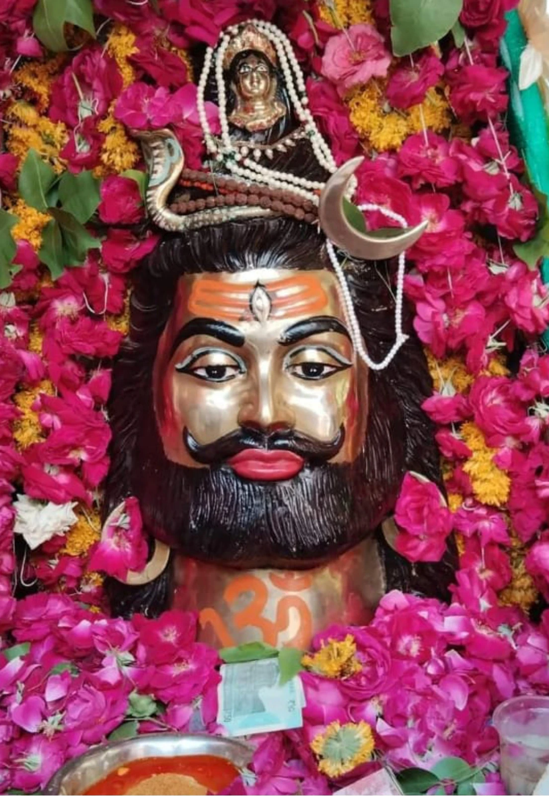 श्रावण के प्रथम सोमवार पर निकलेगी भगवान पशुपतिनाथ की 27वीं भव्य पालकी यात्रा
