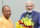 पीएम मोदी से मुलाकात करने पहुंचे सीएम योगी, बैठक के सियासी मायनों पर टिकी नजरें