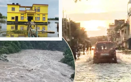 मानसून फिर हुआ सक्रिय, हिमाचल-उत्तराखंड में भारी बारिश का अलर्ट; असम में बाढ़ से 100 से ज्यादा मौतें