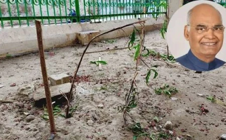 पूर्व राष्ट्रपति रामनाथ कोविंद का लगाया पौधा एक दिन बाद ही टूटा, वृंदावन में बंदरों ने पहुंचाया नुकसान