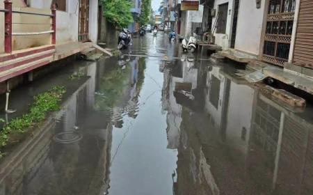 गुना में जलभराव से बेहाल पॉश सोनी कॉलोनी, गंदे पानी और बीमारी के खतरे के बीच नारकीय जीवन जीने को मजबूर रहवासी
