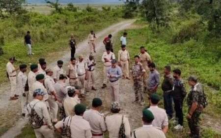वनकर्मियों को मिला कानूनी कवच, ड्यूटी में हथियार चलाने पर बिना अनुमति FIR या गिरफ्तारी नहीं