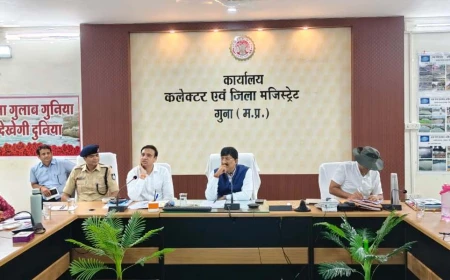 कलेक्टर ने सड़क सुरक्षा को लेकर दिए सख्त निर्देश, नेशनल हाईवे और ब्रिजों पर लाइटिंग व्यवस्था दुरुस्त रखने के आदेश