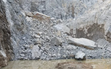 दक्षिण अफ्रीका में बड़ा हादसा: बंद खदान में 14 मजदूरों के शव मिले, अवैध खनन पर उठे सवाल