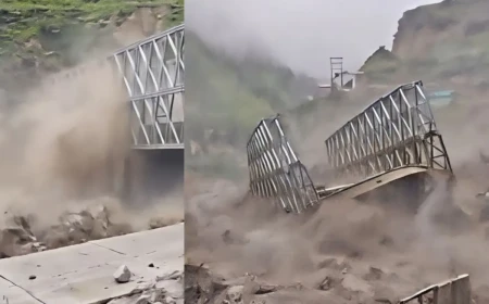 चमोली में बादल फटने से तबाही, बाढ़ में बहा बेली ब्रिज; BRO कर्मचारी लापता होने की सूचना