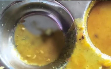 नवोदय विद्यालय में छात्रों के खाने में मिला मरा मेंढक, भोजन करने से किया इंकार; दोबारा बनवाया गया खाना