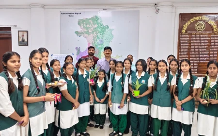 मोती चिल्ड्रन स्कूल की छात्राओं ने कलेक्टर को बांधी राखी, मिठाई और पौधे भेंट कर कलेक्टर ने दिया स्नेहाशीष