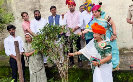 चाचौड़ा-बीनागंज में स्वतंत्रता दिवस पर हरित क्रांति अभियान, नगर परिषद ने किया पौधरोपण