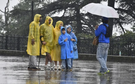 हिमाचल में बारिश और भूस्खलन से बढ़ीं मुश्किलें, 7 अगस्त तक येलो अलर्ट जारी