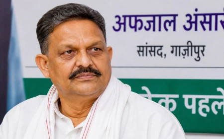सांसद अफजाल अंसारी को हाईकोर्ट से अंतरिम राहत, शस्त्र लाइसेंस मामले में गिरफ्तारी पर रोक
