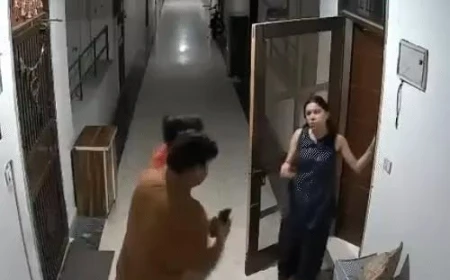 मेरठ में ऑर्डर पहुंचने में 5 मिनट की देरी पर डिलीवरी बॉय की पिटाई, 20 से ज्यादा डिलीवरी कर्मियों ने दिया धरना