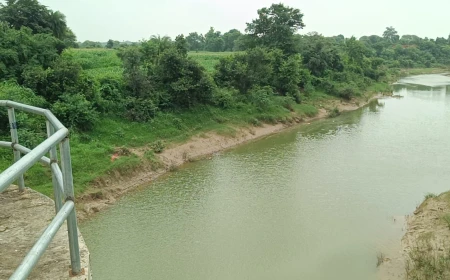 सिंध नदी डैम के कटाव का होगा तकनीकी समाधान, कलेक्टर ने दिए एक्सटेंशन के निर्देश