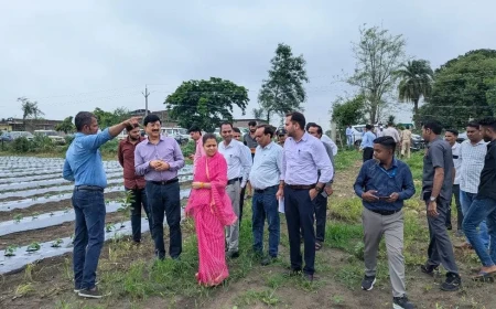 ग्राम टोडी, पेची एवं कनकानेहरू में विकास कार्यों का निरीक्षण