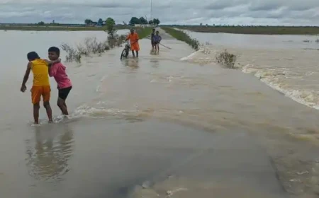 SWIRLING GANGA RAISES CONCERN