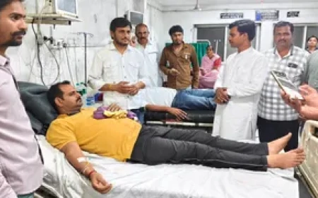 देवास में DJ की तेज आवाज से भड़की मधुमक्खियां, तिरंगा यात्रा पर हमला; एक दर्जन से ज्यादा घायल