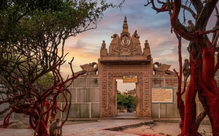 निधिवन का रहस्य: रात में क्यों बंद हो जाते हैं दरवाजे? सुबह रंग महल में क्या मिलता है?
