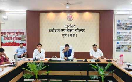 कलेक्टर ने सीएम हेल्पलाइन की शिकायतों के त्वरित निराकरण के दिए निर्देश, लापरवाही पर होगी कार्रवाई