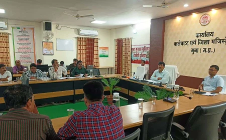स्वच्छता व्यवस्था में सुधार केवल औपचारिकता नहीं, बल्कि परिणाम भी दिखाई देना चाहिए - कलेक्टर