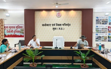 योजनाओं का व्यापक प्रचार-प्रसार कर नागरिकों को लाभ दिलाएं: सीईओ जिला पंचायत अभिषेक दुबे