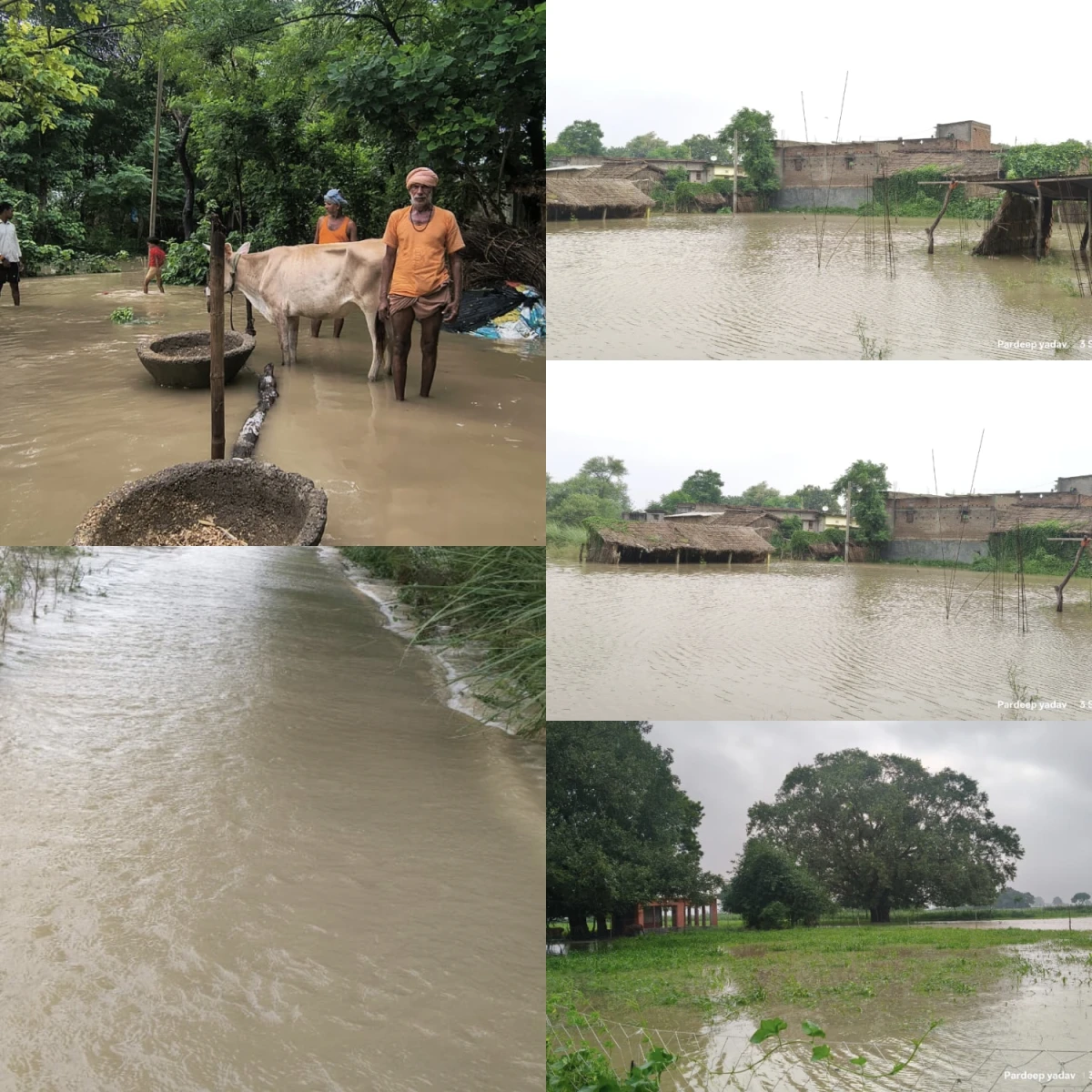 FLOOD WATER ENTERS VILLAGES IN BUXAR