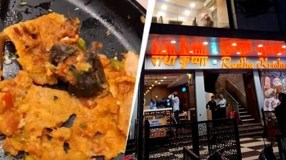 मुंबई के होटल में डोसे में चूहा मिलने का दावा, खाना खाने के बाद शख्स की बिगड़ी तबीयत; एफडीए ने लाइसेंस किया निलंबित