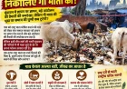 ज्ञापन की राजनीति से आगे बढ़कर गौ सेवा के संकल्प की दरकार: राष्ट्र माता के दर्जे से पहले गौ संरक्षण पर उठे सवाल