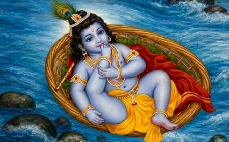 कृष्ण जन्माष्टमी 2026: कल मनाई जाएगी जन्माष्टमी, जानें किस समय होगी पूजा और कब खुलेगा व्रत
