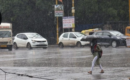 इंदौर: अगस्त के सूखे के बाद जन्माष्टमी पर रातभर राहत की फुहारें, 25 दिन में चाहिए 18 इंच बारिश