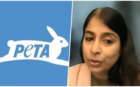 रायपुर: शराब-तंबाकू की तरह मीट के विज्ञापनों पर भी लगे रोक, PETA इंडिया ने केंद्रीय मंत्री को लिखा पत्र