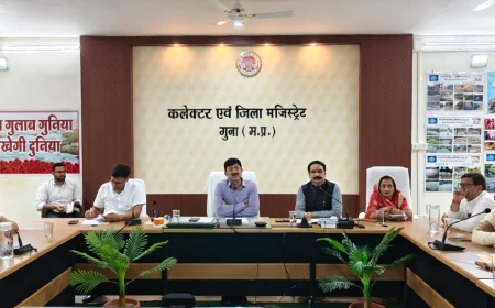 नगरीय विकास के लिए कर वसूली और जनसहयोग जरूरी: कलेक्टर कन्याल, विकास कार्यों में तेजी लाने के निर्देश