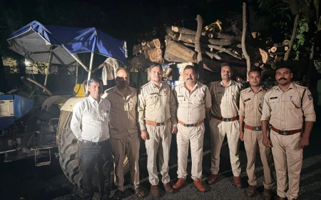 राधौगढ़ में वन विभाग की कार्रवाई, लकड़ी से भरी ट्रैक्टर-ट्रॉली जब्त; रेंजर प्रेरणा दुबे के नेतृत्व में बढ़ी निगरानी