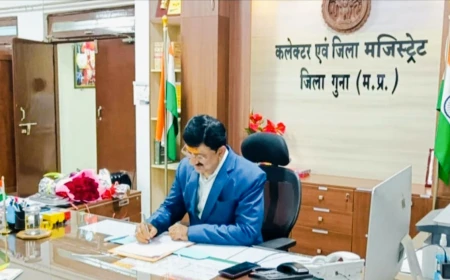 कलेक्टर के अल्टीमेटम के 20 दिन बाद भी शासकीय घोषित भूमि नहीं हुई खाली, तहसीलदार ने 7 दिन में कब्जा हटाने का दिया भरोसा