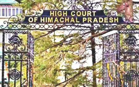 हिमाचल: निजी व्हाट्सएप ग्रुप में संदेश भेजने पर कंडक्टर की बर्खास्तगी रद्द, हाईकोर्ट ने कहा- सिर्फ राय रखना अनुशासनहीनता नहीं
