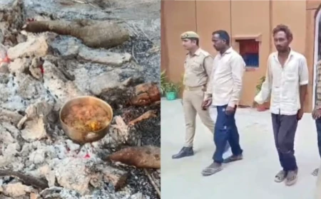 श्मशान घाट में चिता के पास पकाया चिकन, तीन लोग गिरफ्तार; पूछताछ में बोले- गलती हो गई