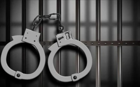बिहार: युवती से बदसलूकी का वीडियो वायरल, छह लोग हिरासत में; शराब कनेक्शन की भी जांच