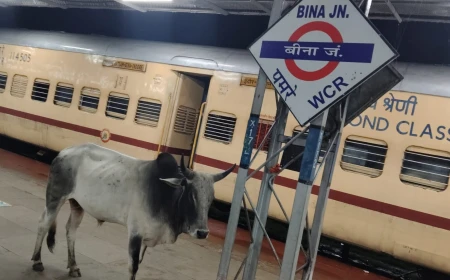 बीना स्टेशन पर यात्रियों की सुरक्षा पर सवाल, प्लेटफॉर्म पर बेखौफ घूम रहे सांड