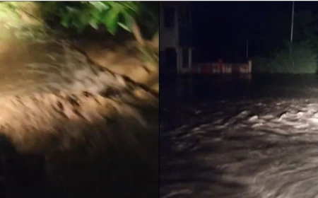 बरेली में किच्छा नदी का रौद्र रूप, बहेड़ी में अचानक आया सैलाब; मेगा फूड पार्क में घुसा पानी, अलर्ट जारी
