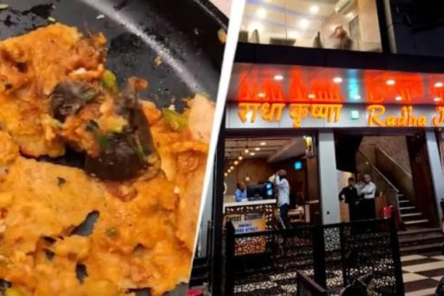 मुंबई के होटल में डोसे: में चूहा मिलने का दावा, खाना खाने के बाद शख्स की बिगड़ी तबीयत; एफडीए ने लाइसेंस किया निलंबित.