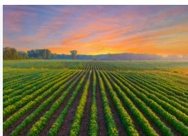 FOCUS ON NATURAL FARMING IN FARMERS’ WORKSHOP