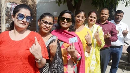 बरेली-मुरादाबाद शिक्षक एमएलसी चुनाव में 73.69% मतदान, अमरोहा में सबसे ज्यादा वोटिंग