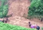 केरल में भूस्खलन से बिलासपुर-तिरुनेलवेली एक्सप्रेस का इंजन पटरी से उतरा, छह ट्रेनें रद्द