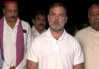 राष्ट्रपति ने वोट चोरी के आरोपों को खारिज नहीं किया: मुलाकात के बाद राहुल गांधी का दावा, बोले- सबूत सौंपेंगे