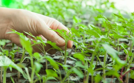 FARMERS’ WORKSHOP HELD