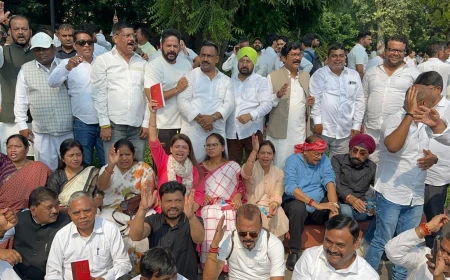 PROTEST TO SAFEGUARD DEMOCRACY AND VOTING RIGHTS